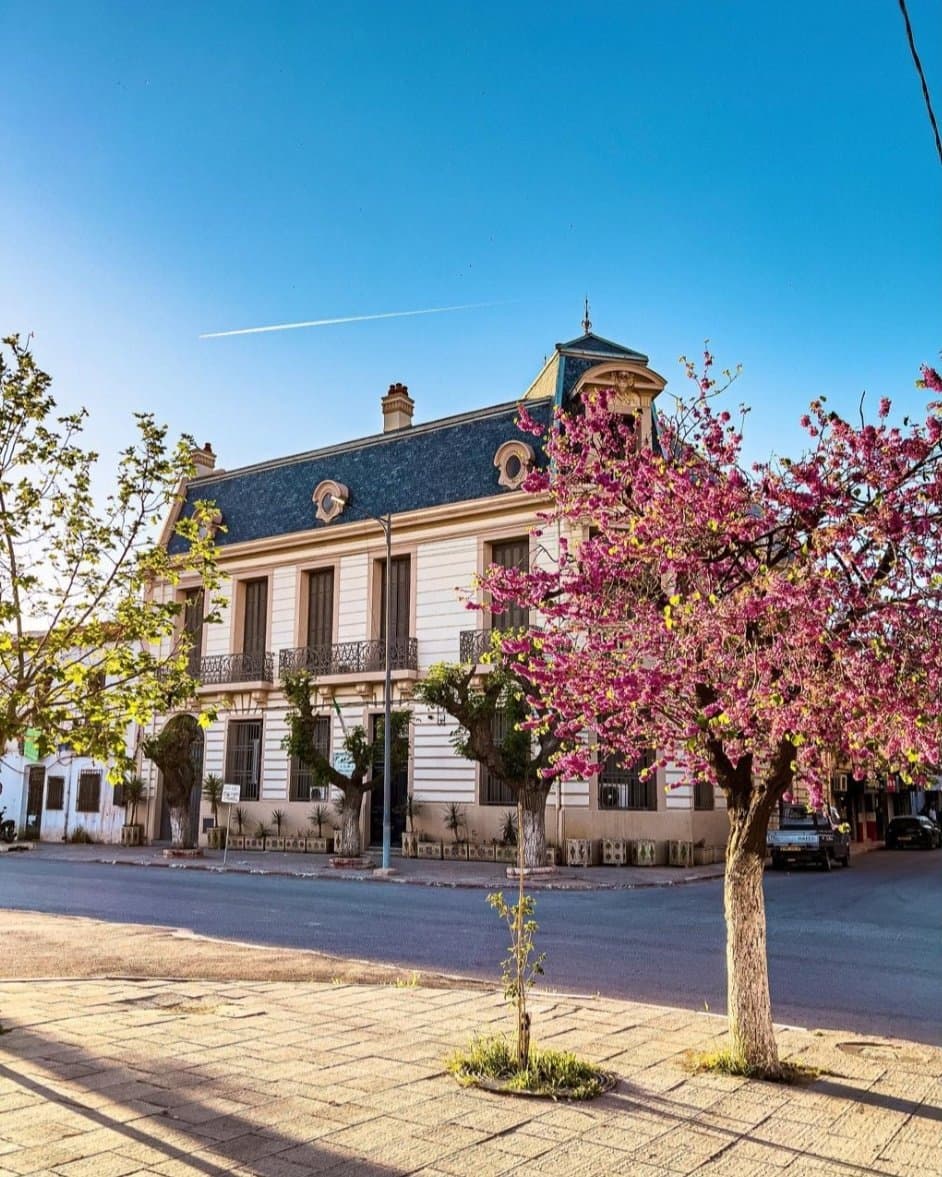 hotel sidi bel abbes pas cher