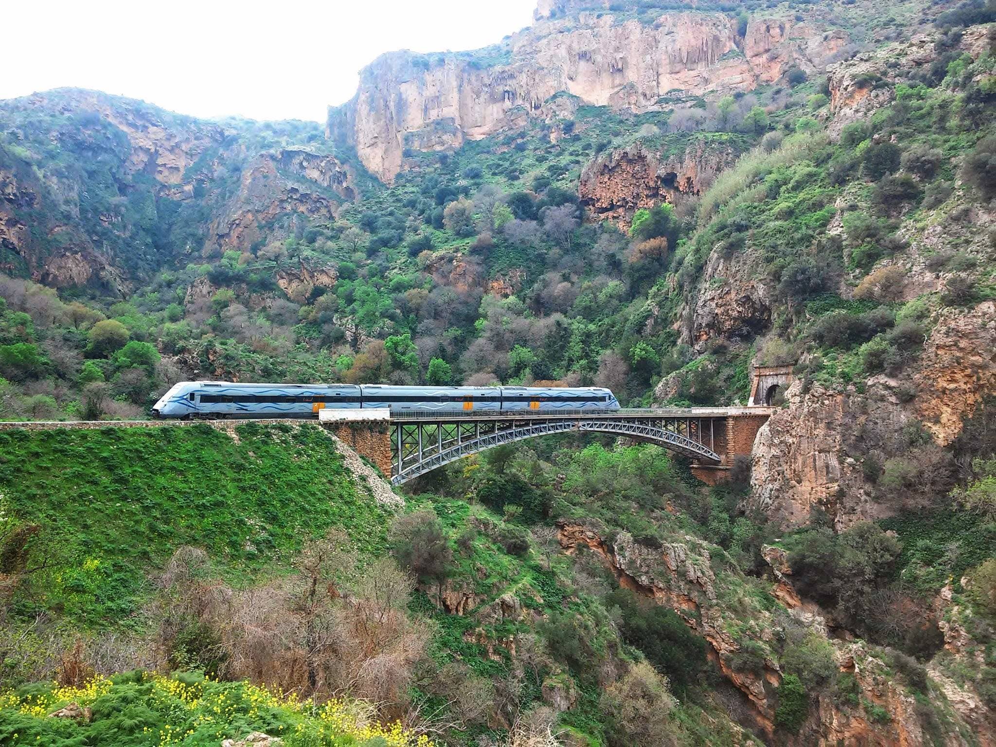 Patrimoine architectural de Tlemcen