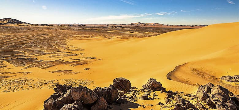 Palmeraie et ville de Touggourt
