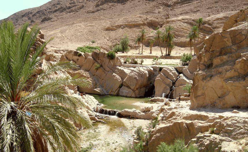 Oasis et architecture de Bou Saâda