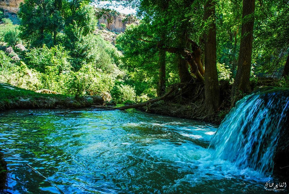 Paysage naturel de la région de Tiaret